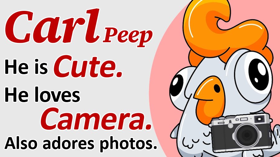 TravelJapanPeep's tweet photo. Carl, a curious and cute Peep who loves camera and photo📸

Max, a cool and gourmet Peep who is transparent🍴

Nolan, a kind Peep who likes traveling. He is Nori's older brother🧳

Nori, a playful and energetic Peep who loves trains and often sits on Nolan's head🚃

4 Peeps🐥🧡 https://t.co/wUUmbOVqNt