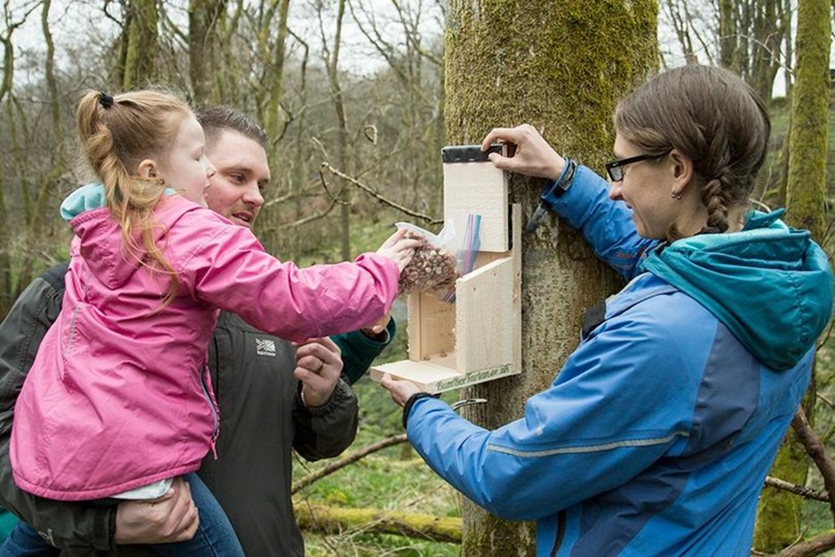 Day 5: What can YOU do about INNS? @InvasiveSp @SquirrelAccord @NatureScot #NatureRestorationFund There are many things you can do to help our work and red squirrels in your area! 🧵(1/3) 📷Jo Foo