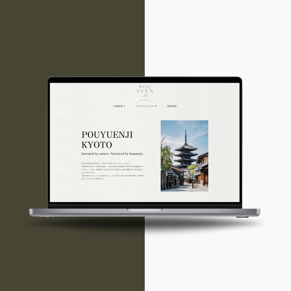 wpwdesign tweet picture