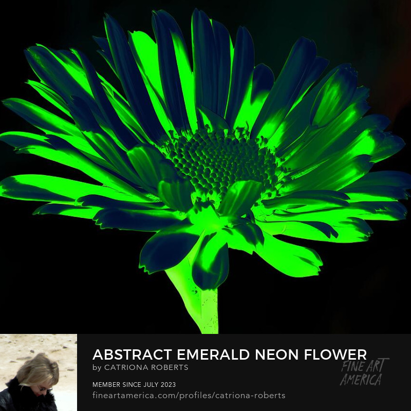 Abstract Emerald Neon Flower

Art Print-

fineartamerica.com/featured/abstr…

Canvas Print-

fineartamerica.com/featured/abstr…

Greeting Card-

fineartamerica.com/featured/abstr…

#designs #floralart #floral #DigitalArtis #mixedmedia #artprint #prints #greetingcards