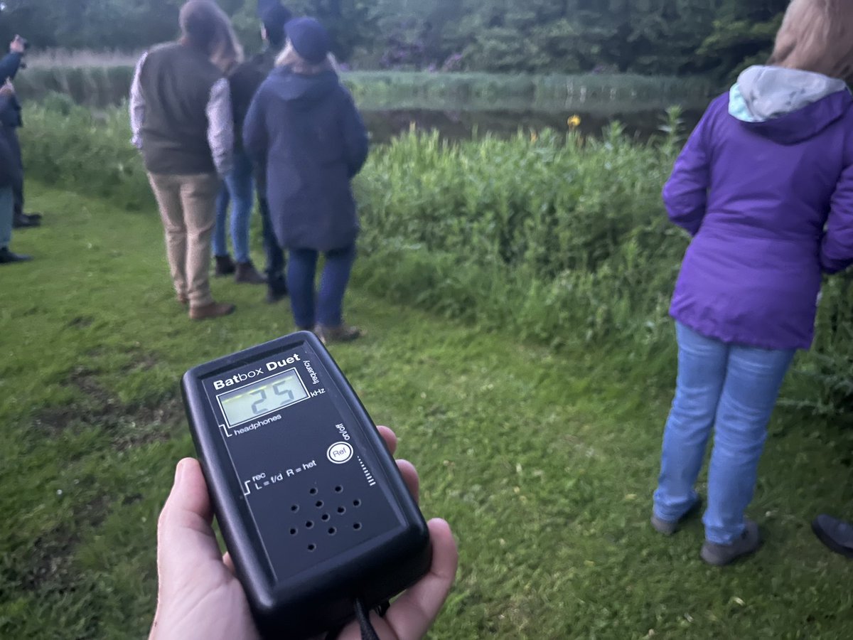Thank you to everyone who came on our bat 🦇 walk last night! We were treated to fabulous views of a Barn Owl hunting, heard Tawny Owls, and saw and heard 5 species of bats including Soprano pipistrelle, Common Pipistrelle, Noctule, Barbastelle and Brown Long-eared!
