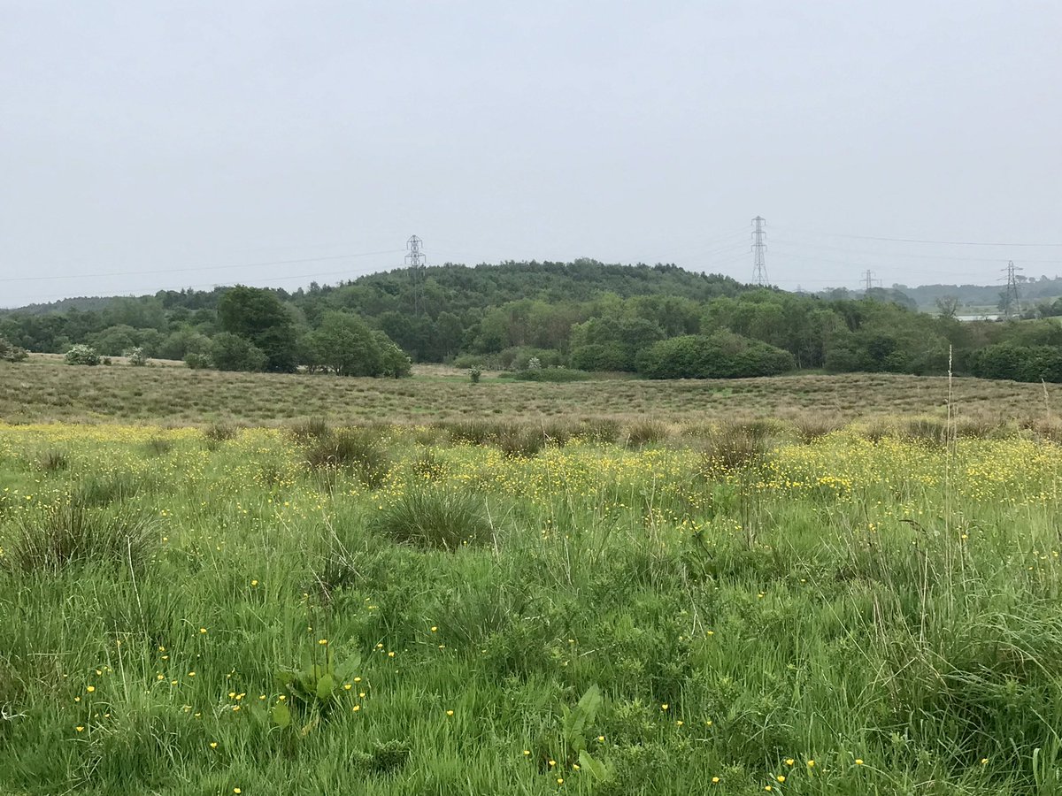 coal_legacies's tweet photo. Aileen and Catherine spent a lovely morning chatting #walking routes, #coal #miningheritage and potential collaboration at the Happy Hub with #Cardowan Community Meadow team members. Too wet for a walk but got to see the stunning meadow and the former now wooded colliery #bing https://t.co/iKbWlFUTZ4