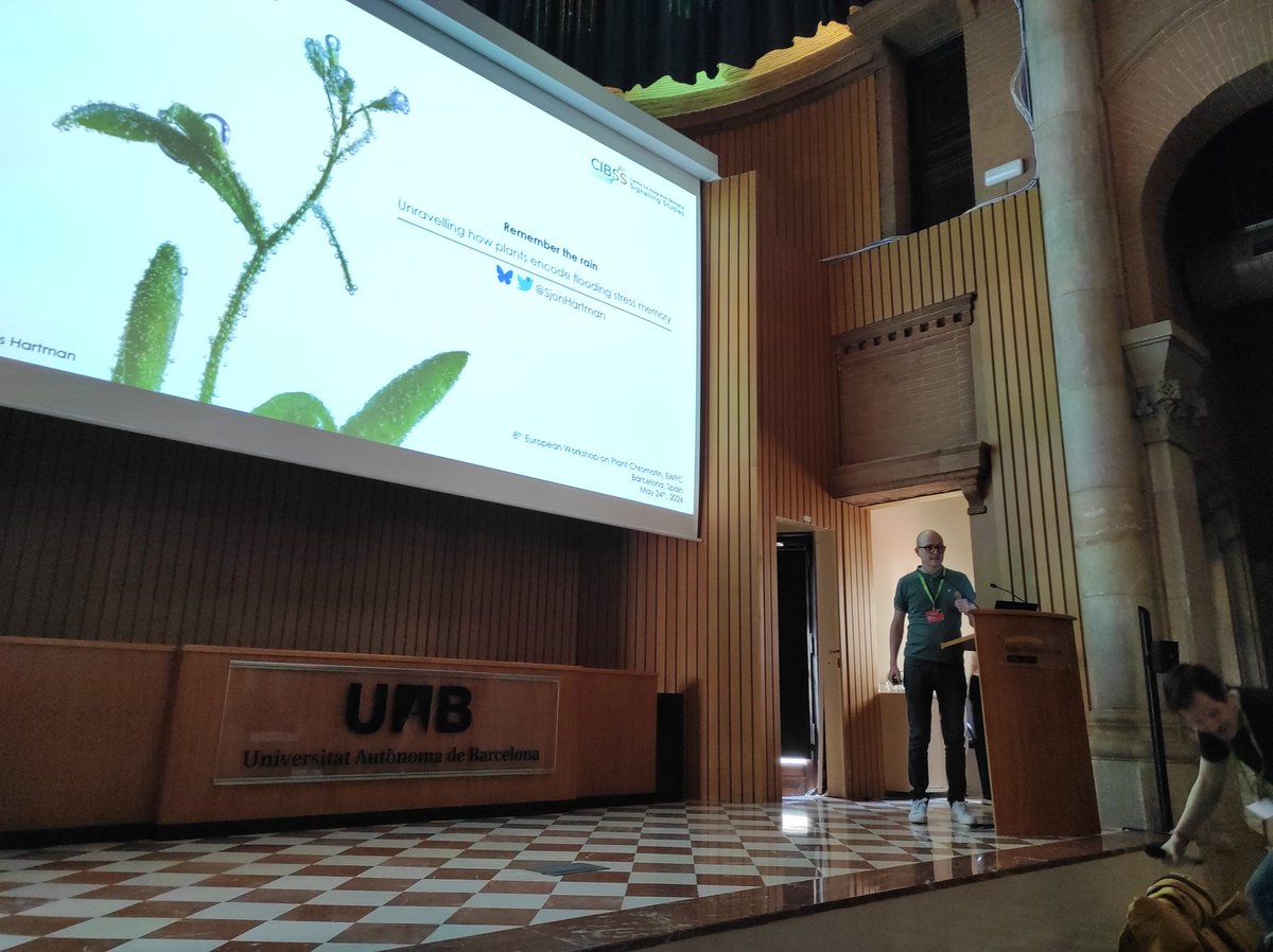 European Workshop on Plant Chromatin (@_ewpc_) on Twitter photo Sjon Hartman from <a href="/UniFreiburg/">Universität Freiburg</a> reveals how plants encode flooding stress memory. Towards enhancing plant resilience! 🌧️🧠 #FloodingMemory #EWPC2024 Sjon Hartman from <a href="/UniFreiburg/">Universität Freiburg</a> reveals how plants encode flooding stress memory. Towards enhancing plant resilience! 🌧️🧠 #FloodingMemory #EWPC2024