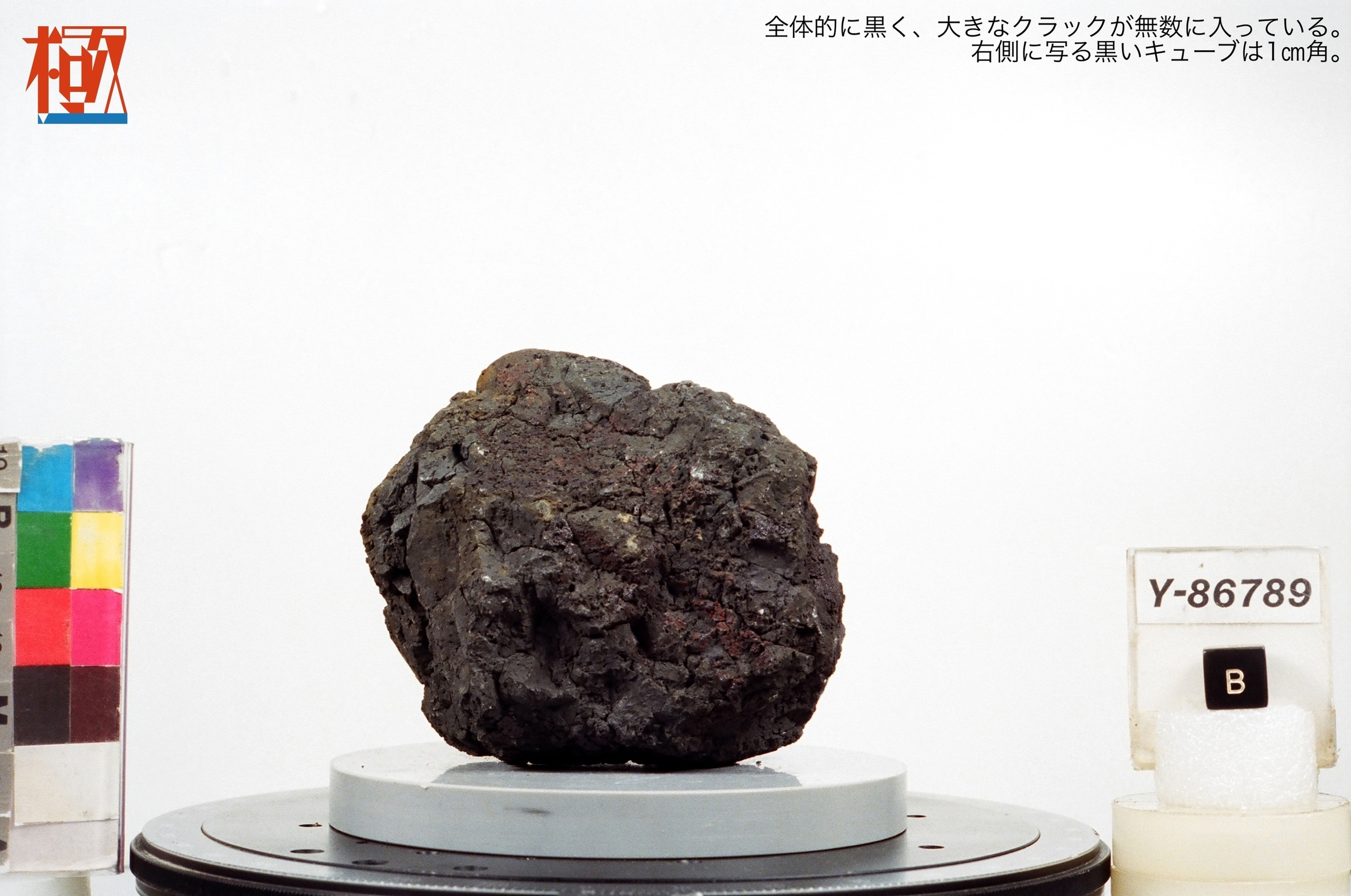 Amazon.co.jp: TOKYO SCIENCE 隕鉄現物標本（Octahedrite IIAB