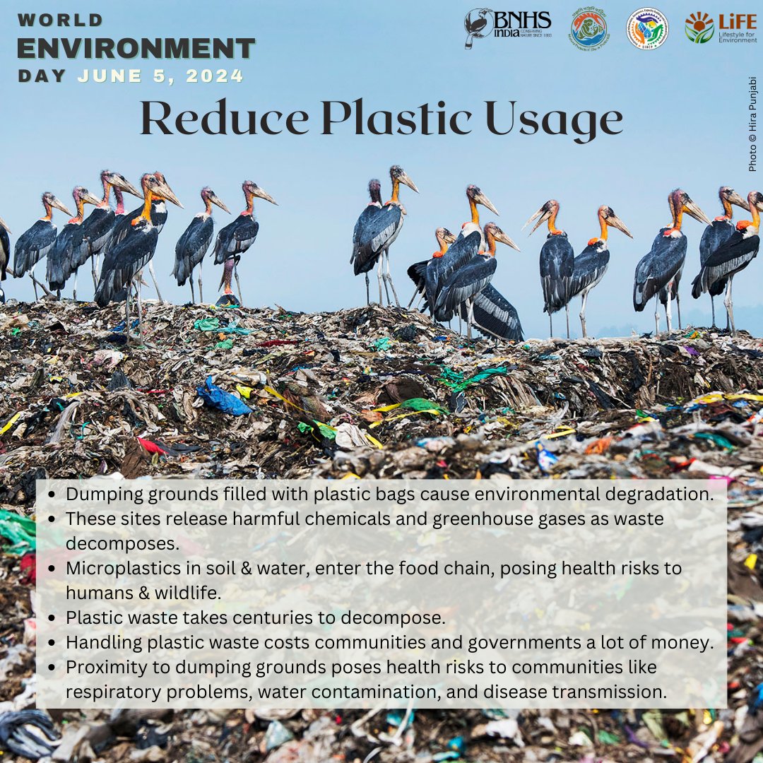 Reduce Plastic Usage
#MissionLiFE #WED2024