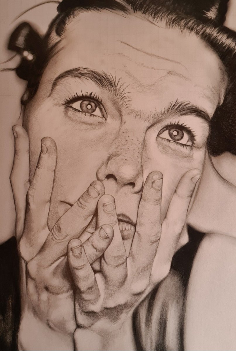 Bjork

30cm x 40cm 
 Mars lumograph pencils 

#Bjork
#pencilportrait