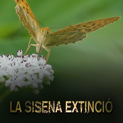 ⏳D'aquí uns minuts, a <a href="/som3cat/">3Cat</a> 

Doble programació de #30minuts3Cat

🎞️"La febre dels metalls" 
🕙22:05 #FebreMetalls3Cat
🔗tv3.video/30mMinerals

🎞️"La sisena extinció"
🕚23:00
🔗tv3.video/30mSisenaExtin…