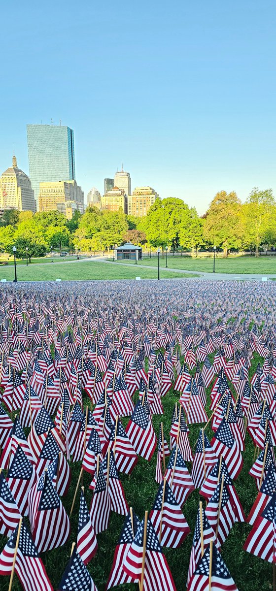 37,369 American flags are planted in Boston Common on Memorial Day in memory of every fallen Massachusetts service member from the Revolutionary War to the present.