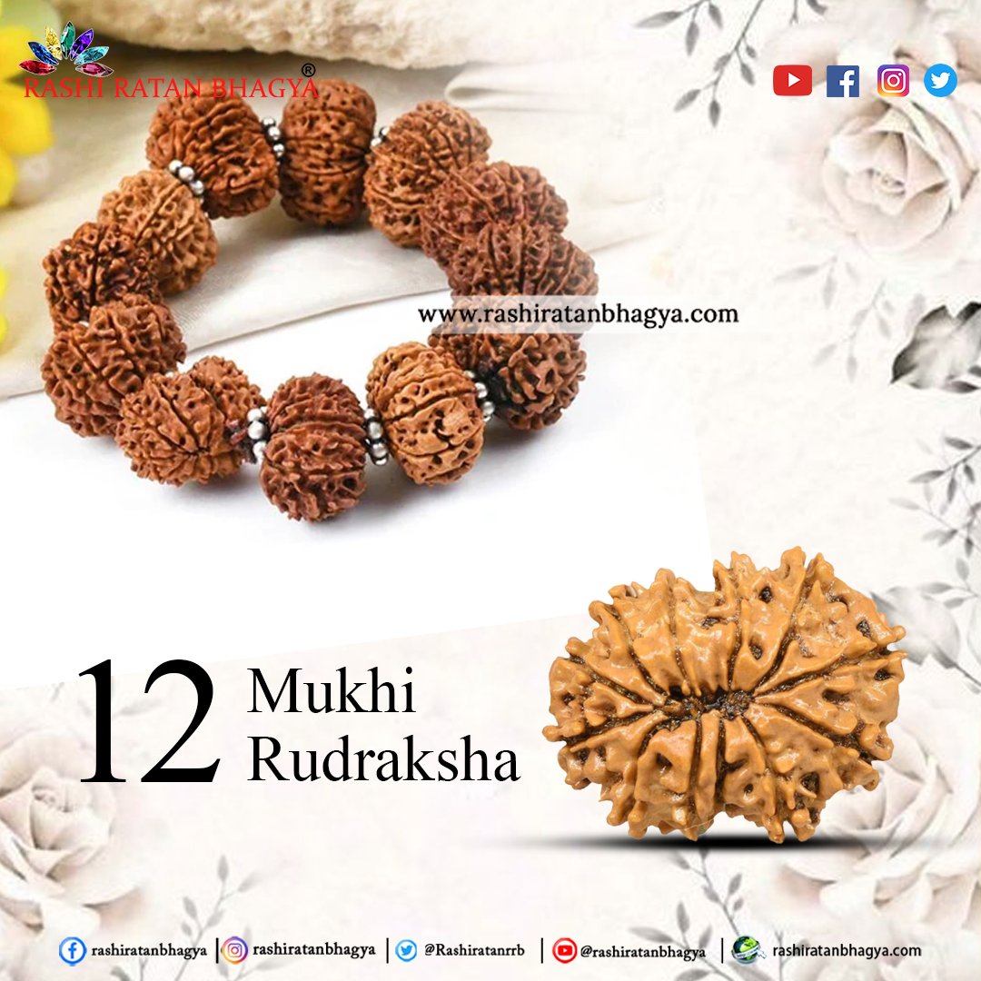 hritikrrb's tweet photo. The 12 Mukhi Rudraksha holds sacred symbolism as it embodies the Sun, representing energy and vitality. Buy it now from Rashi Ratan Bhagya.
🌏https://t.co/QwlitQQqm6
📞 +91 9829069860
📩 info@rashiratanbhagya.com
#12mukhirudraksha #12mukhi #rudraksha #shiva #mahadev #bholenath https://t.co/AVlQUdePYy