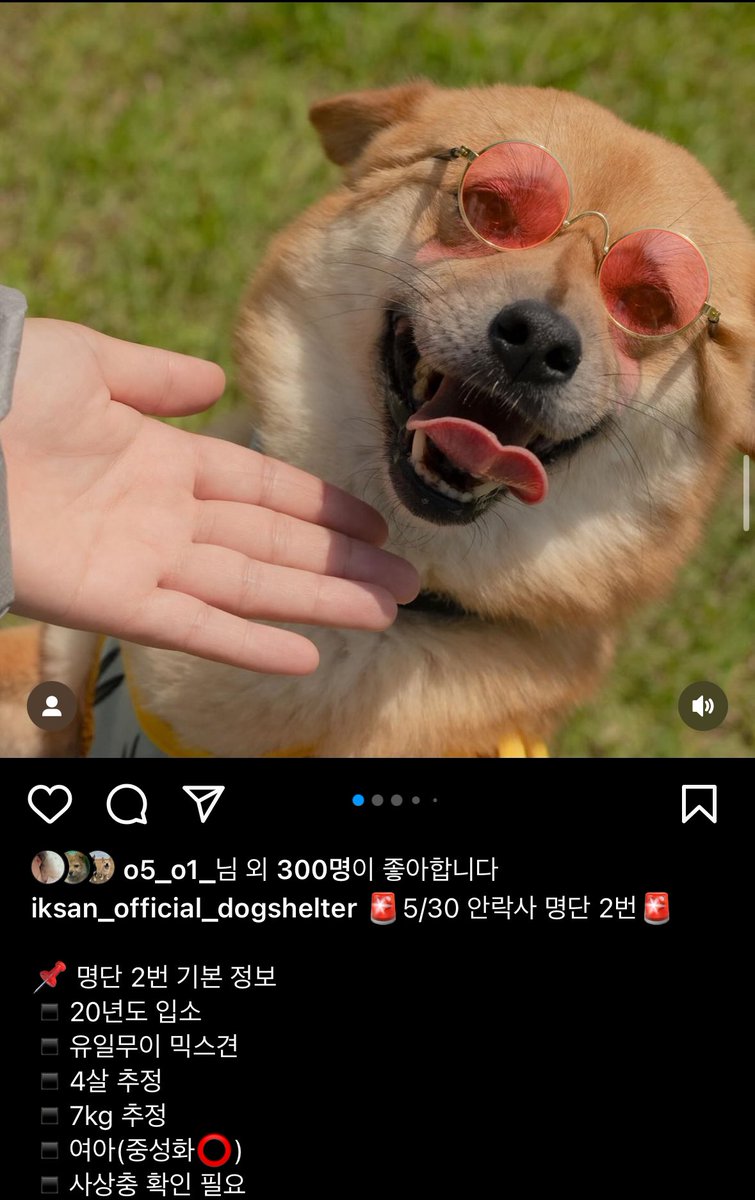 제시카 심순, 그리고 이모들. tweet media