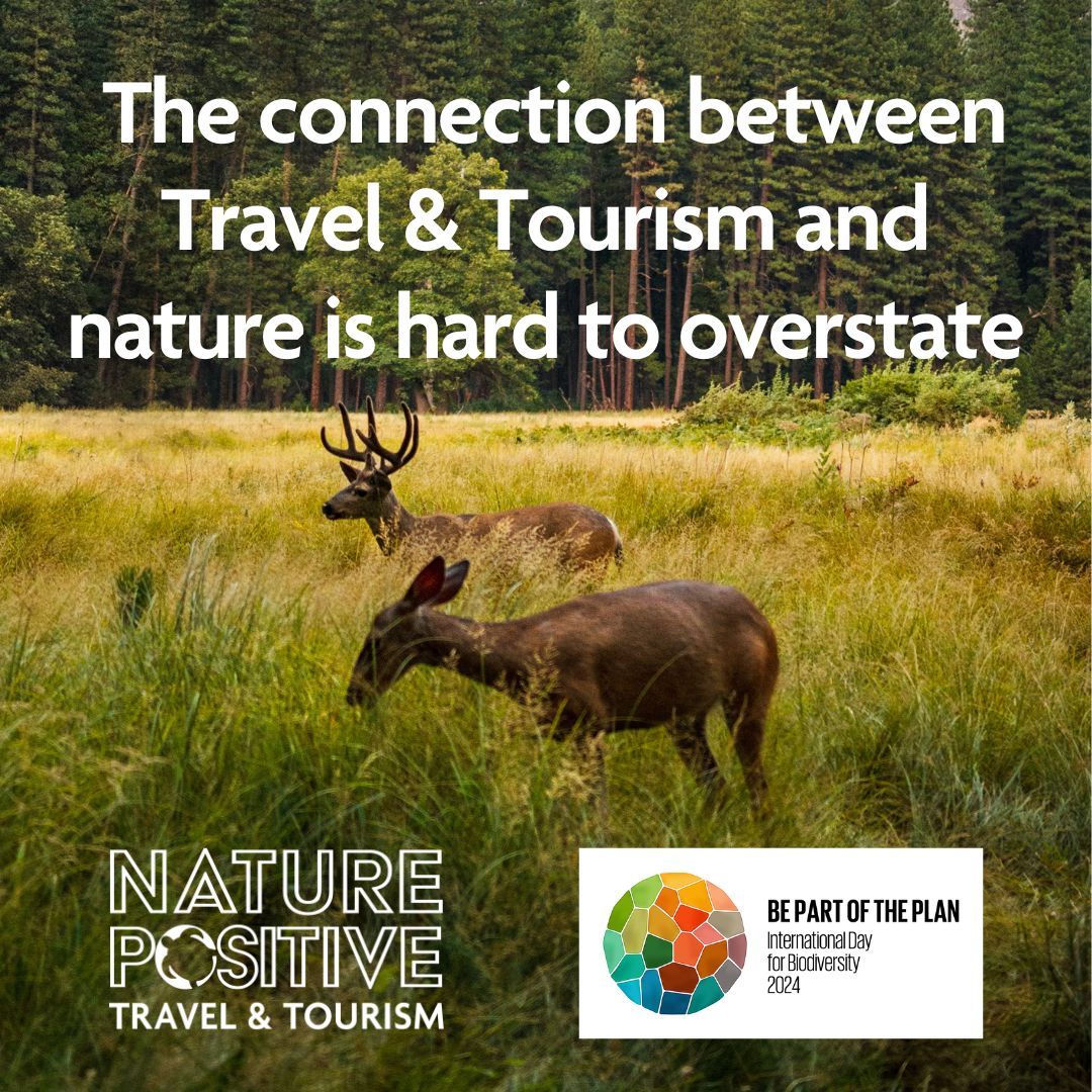 As a tourism organisation, we acknowledge our role in both impacting and safeguarding biodiversity. Join us: 🌿Sign up to the Nature Positive Tourism Vision 🌿Download and read the new Nature Positive Tourism in Action report buff.ly/3WVa5Ta buff.ly/4buskD4