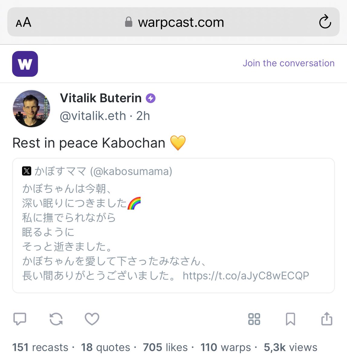 KABOCHAN ON SOL tweet media