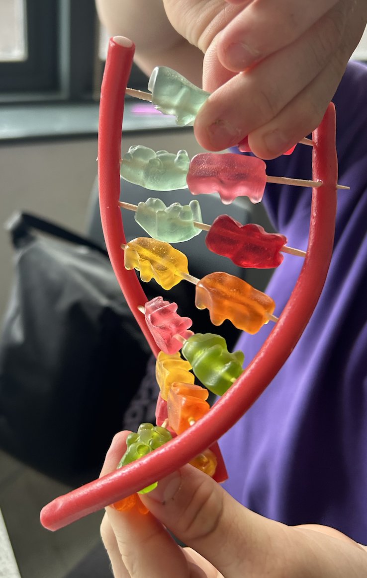 CCYD_Science's tweet photo. Year 8 making DNA models this morning 🍬🧬 @CCYD_school https://t.co/Y7mWuGMXrn
