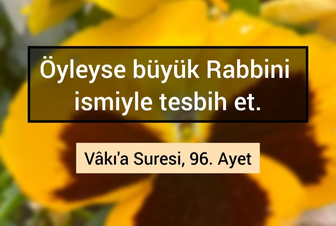 Gülay Pınarbaşı #GodExists (@_gulaypinarbasi) on Twitter photo 
