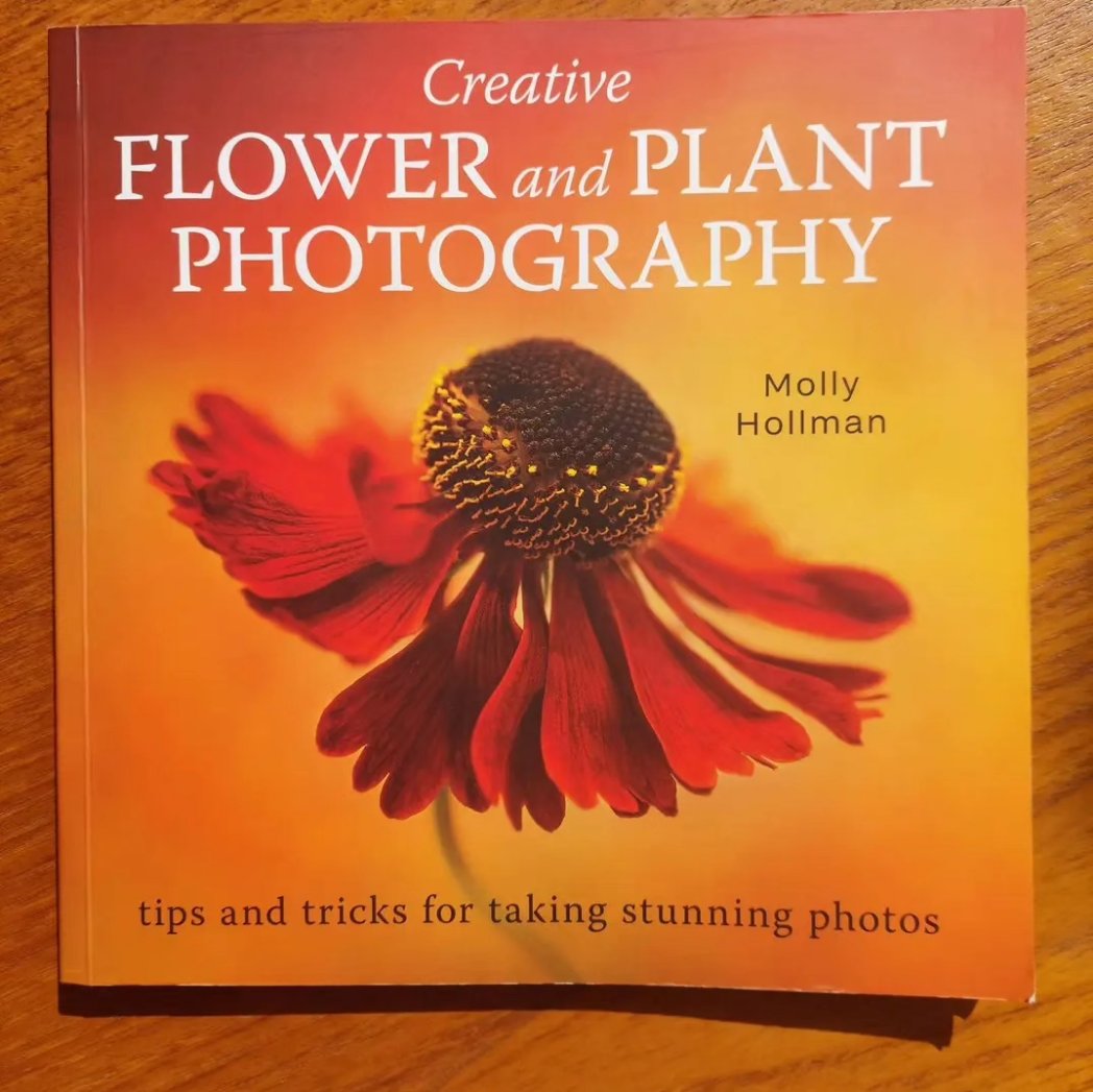 This week sees the two year anniversary of my book being published! Super proud that it's still selling well and has good reviews, thanks to everyone who has bought it! 😃