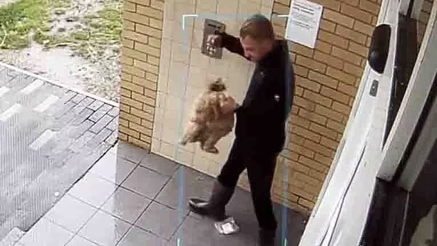 AdoptionsUk's tweet image. Please retweet, Thomas Hardy, County Durham #UK  CONVICTED OF ANIMAL ABUSE - AVOIDS JAIL!! 
Thomas Hardy, 32, was seen punching his Cockapoo five times before strangling her, compressing her chest between his legs and swinging her around by the neck. One clip showed him lifting…