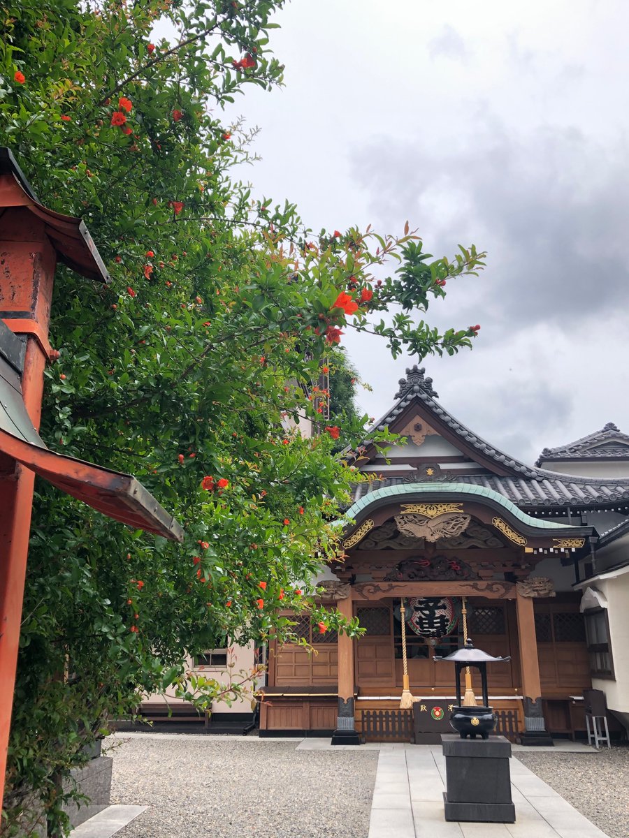 metro_pct's tweet photo. 弊社ご近所の入谷鬼子母神さま。境内には柘榴の花が綺麗に咲き誇っています。よく見ると、うちの子(ミツバチ🐝さん)が！？😊 #ミツバチ#都市養蜂#world bee day https://t.co/9lF337vRjW