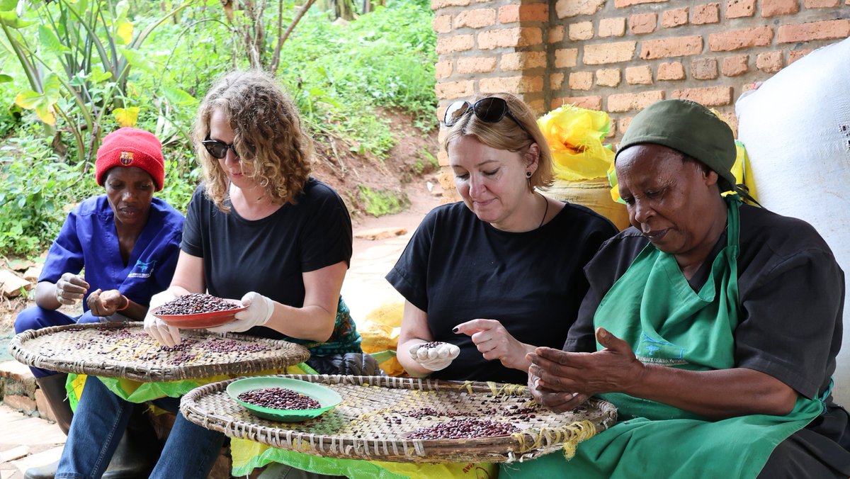 SolidAfrica's tweet photo. #TBT to when we had the honour of hosting a team from @rwBritish  led by Abdi Hassan, the Country Director.
The team visited our Mike Stenbock Gemura Kitchen and volunteered at our farms where they prepared and harvested produce. We look forward to welcoming you again!

#solidafrica
#nutritionsecurity
#foodismedicine