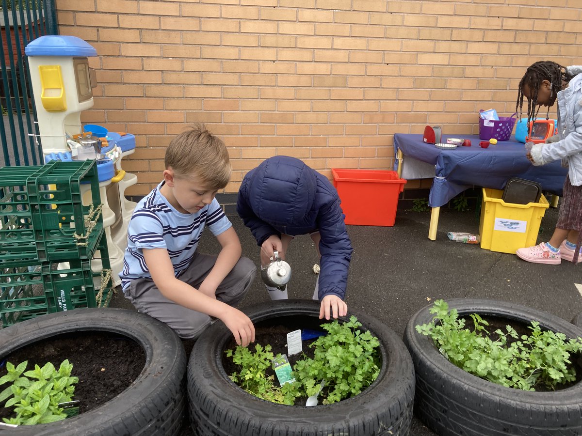 KS1 children are enjoying looking after the herbs that they have planted and grown on the KS1 yard. 
#dowhatmattersmost