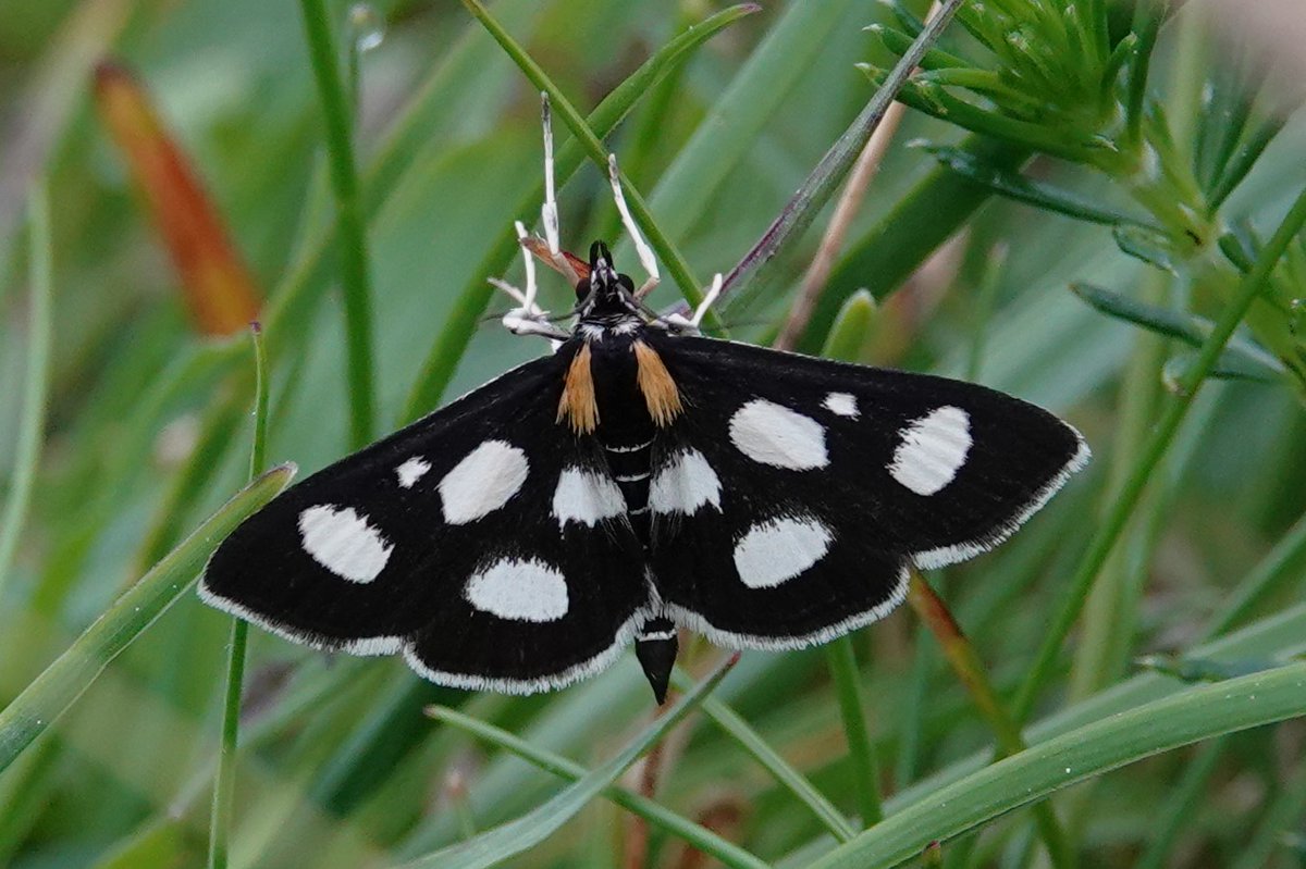 James Hunter tweet media