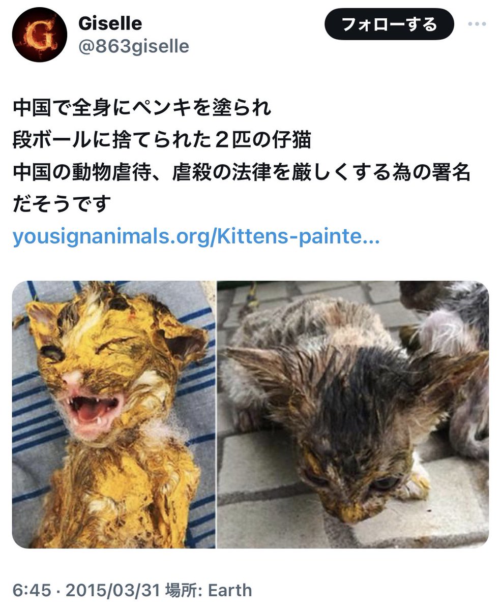 @Echinanews 虐殺される猫たちは、いつ助けるの？
中国で長年続く動物虐待はいつ終わらせるの？

法改正もせず動物虐待を容認する中国。

どれだけ良い国アピールしても、
この虐殺を止めないと良い国にはならないよ。

#BoycottChina 
#china
#AnimalAbuse 
#crueltytoanimals
#cat 
#telegram
#Bilibili