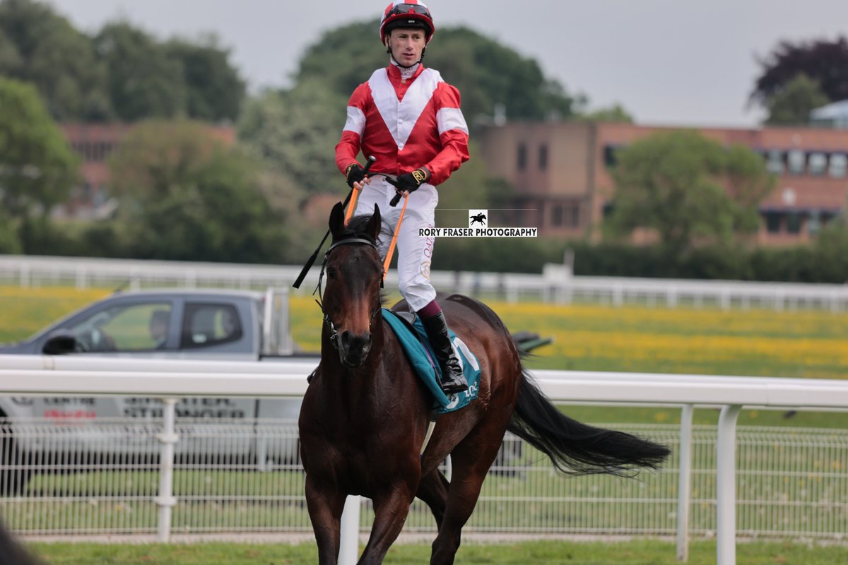 Rory Fraser Photography🤘 (@92roryf) on Twitter photo LA TRINIDAD (Bated Breath x High Drama) at York last week for the class two handicap (1m)
Trained by Roger Fell & Sean Murray <a href="/Nawton_Racing/">Roger Fell & Sean Murray Racing</a> and owned by Mrs D W Davenport.
A five time winner in his career to date, including once at York. LA TRINIDAD (Bated Breath x High Drama) at York last week for the class two handicap (1m)
Trained by Roger Fell & Sean Murray <a href="/Nawton_Racing/">Roger Fell & Sean Murray Racing</a> and owned by Mrs D W Davenport.
A five time winner in his career to date, including once at York.