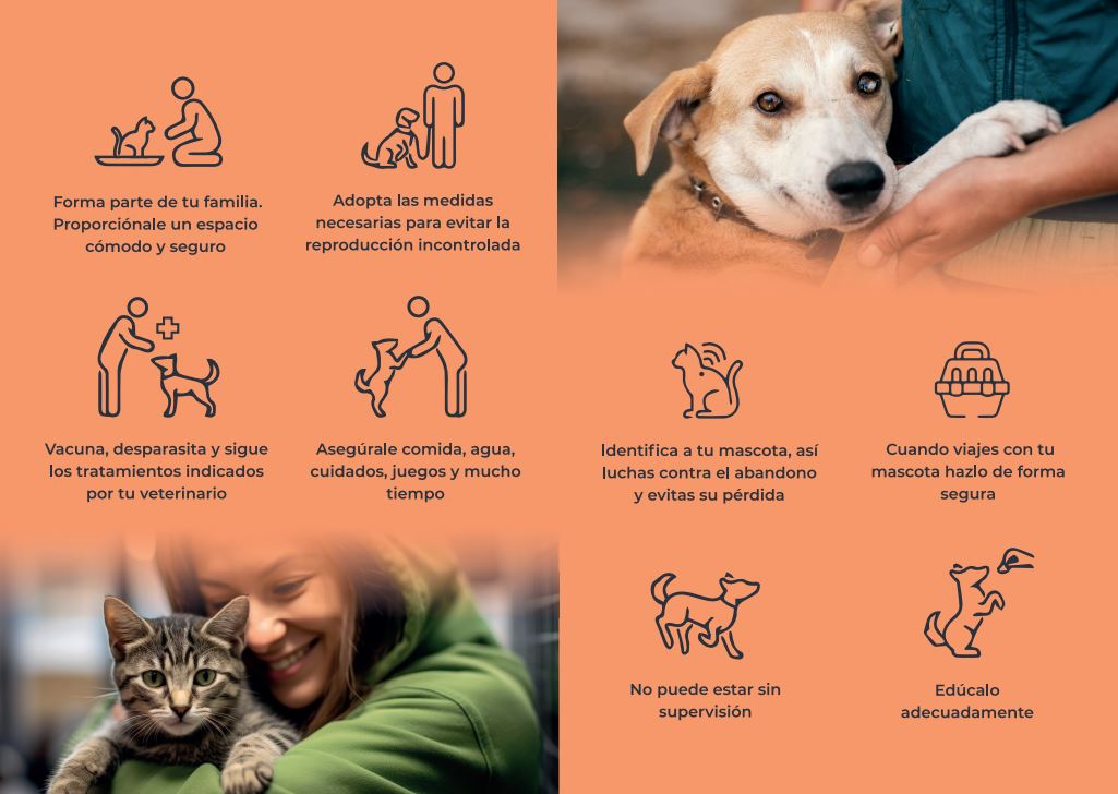 PoliciaMV's tweet photo. 🐾 Os recordamos: antes de adquirir una mascota, reflexiona si puedes cubrir todas sus necesidades.
¡Es un compromiso de por vida!
#TenenciaResponsable #CompromisoAnimal https://t.co/CTOe71nErP