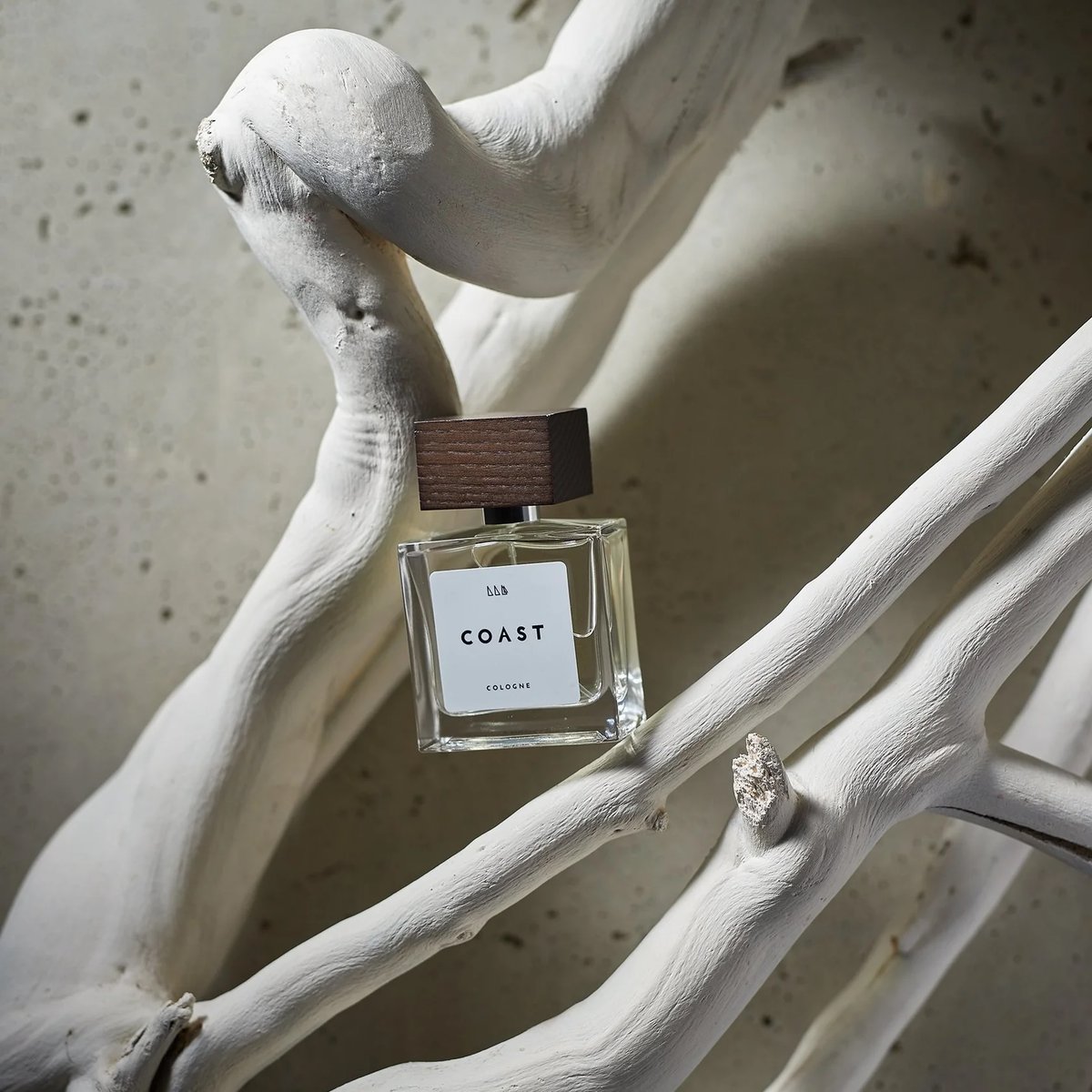 Thomas Clipper tweet media