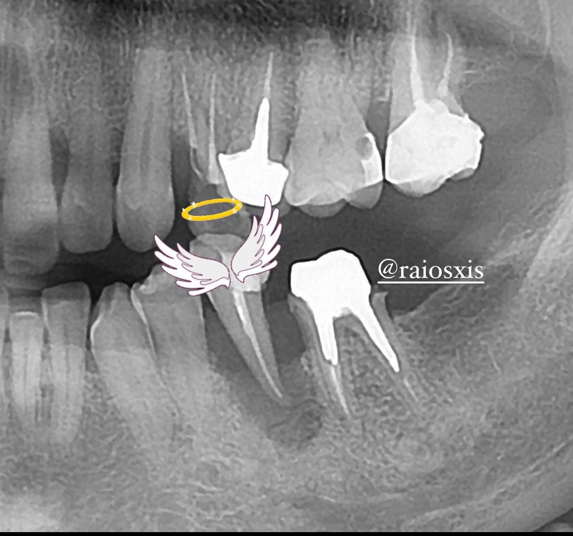 د. عبدالله طارق tweet media