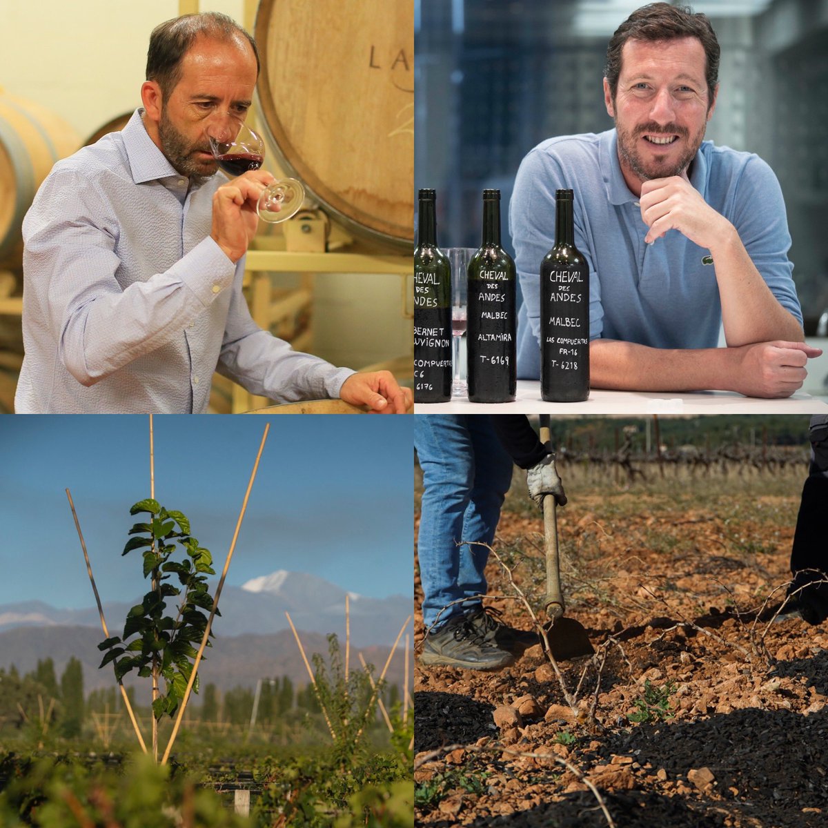 The next @CircleofWine Let’s Talk about Sustainability in drought conditions will be held by zoom on Tuesday 4th June at 5pm BST, with Gerald Gabillet of @CDAwine in Argentina, and Jean-Marc Lafage of @DomaineLafage in the Roussillon. Guests welcome - please contact @sueeames3