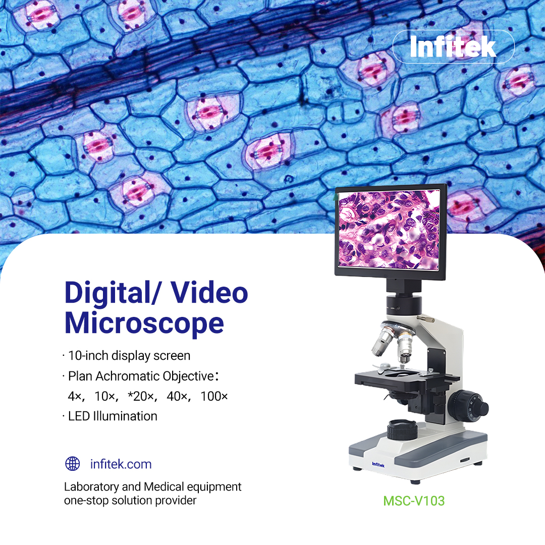 InfitekBio's tweet photo. See microscopic details like never before🌟The Infitek MSC-V103 digital microscope delivers the high-quality imaging and control you need. Experience stunning 10-inch screen visualization with 56-1400x magnification to reveal microscopic structures. #Microscope #VideoMicroscope https://t.co/okuysVIFEk