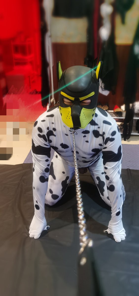 KenethSher97678's tweet photo. 看我的狗狗好看，还是我的脚好看，哈哈 https://t.co/yRYQxvxSF2