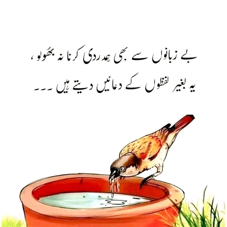 M_N_I_K's tweet image. Beshak ✅ 
Respect indeed.

#ThinkDeeply #Love #respectable #EigerAdventure #NewJeans_BubbleGum