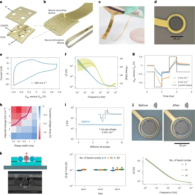 D. Viana <a href="/damiavnc/">Damià Viana</a> et al. from <a href="/icn2nano/">Catalan Institute of Nanoscience & Nanotechnology</a>, Barcelona, developed a graphene-based microelectrode for high-resolution neural interfacing. Bioseb is proud our Electronic Von Frey was used in this exciting project, published in Nature Nanotechnology <a href="/NatureNano/">Nature Nanotechnology</a> tinyurl.com/bioseb-graphene