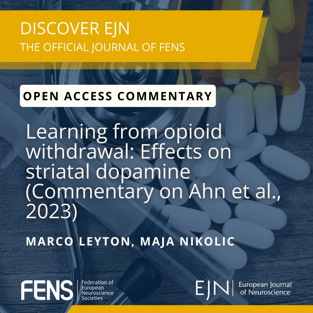 Discover @EJNeuroscience articles! 📝 💊 #Opioid relapse has been linked to both increased and decreased #dopamine transmission, leading to uncertainty about dopamine's role in addiction Read the full #OpenAccess commentary to discover more: loom.ly/mZa_288