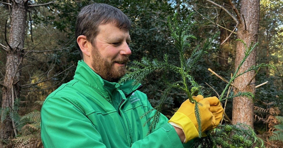 We have 7 x Apprentice Forest Craftsperson roles available. It's an exciting opportunity to gain experience in a wide range of skills working in forests and other habitats. Search on civilservicejobs.service.gov.uk to find out more. Apply by 11:55pm on Sunday 26 May. #ForestryJobs