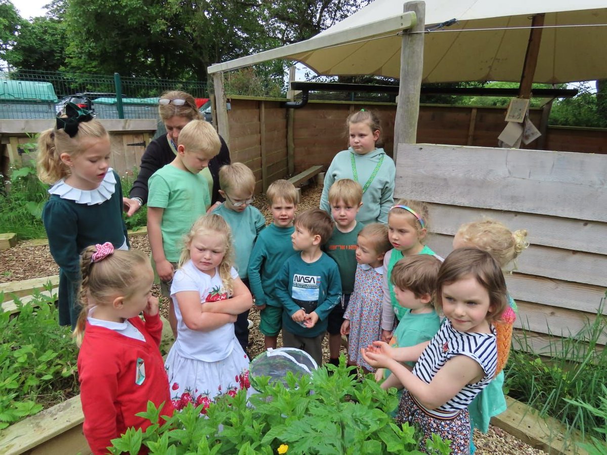 Foxton Primary tweet media