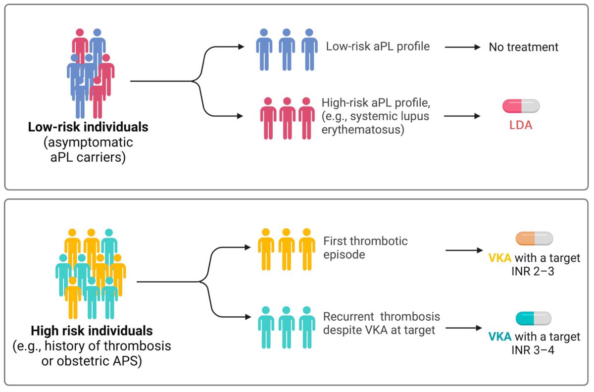 Our review exploring cardiovascular complications in antiphospholipid syndrome, with a special focus on older adults, is now available in @JCM_MDPI @MDPIOpenAccess @EncyclopediaMD1 🔗 Full text: mdpi.com/2077-0383/13/1…