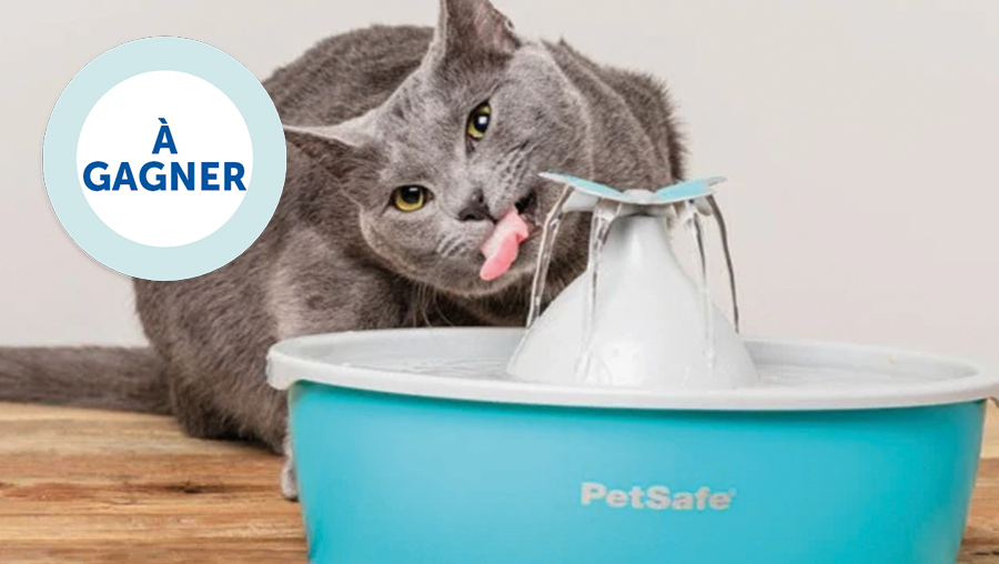 PetSafe® France tweet media