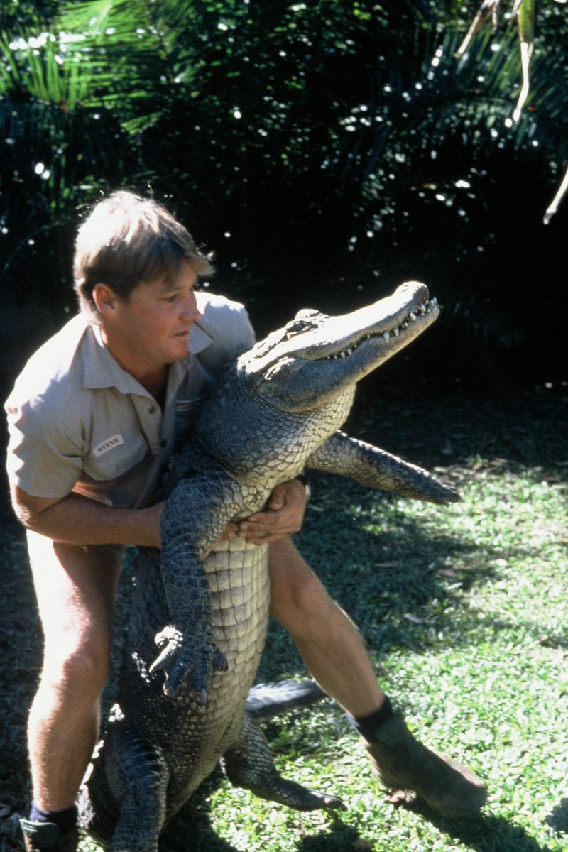 It is a tremendous honour to continue Steve’s legacy in all that we do here at #AustraliaZoo.