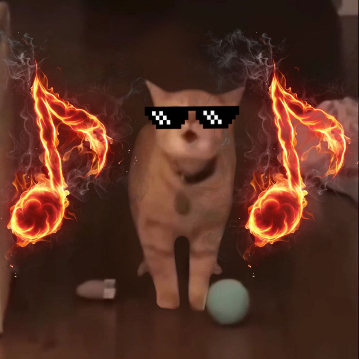 Harveesteer's tweet image. I mean this is the best CTO ever! #IGOMEOW $IGOMEOW 

@igomeow_on_sol 

GTstiezC9H89S69et5CAQ9mC8mmJCRXFLA5iDcLQKjbm