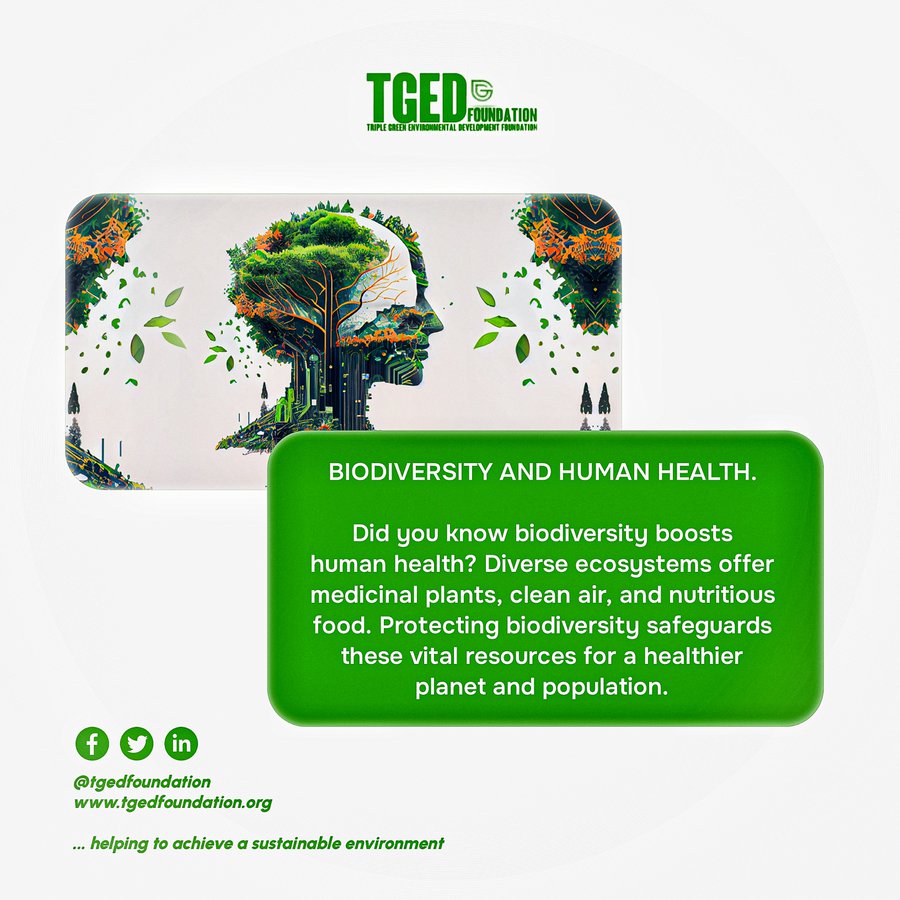 Protecting biodiversity isn't just about saving species. It's about safeguarding our own health and well-being. #PartOfThePlan #BiodiversityPlan @tgedfoundation @NESREANigeria @NYCNEkitiState @ekititrends
