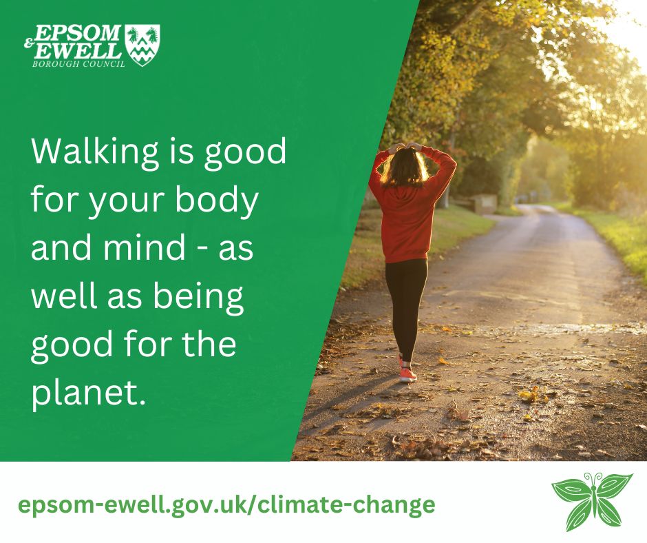 Did you know that walking on a regular basis can: - reduce your risk of type 2 diabetes, depression & cardiovascular disease - improve your mental agility & quality of sleep - improve your metabolism? Check out some of the walking routes in Epsom & Ewell: orlo.uk/29kn6