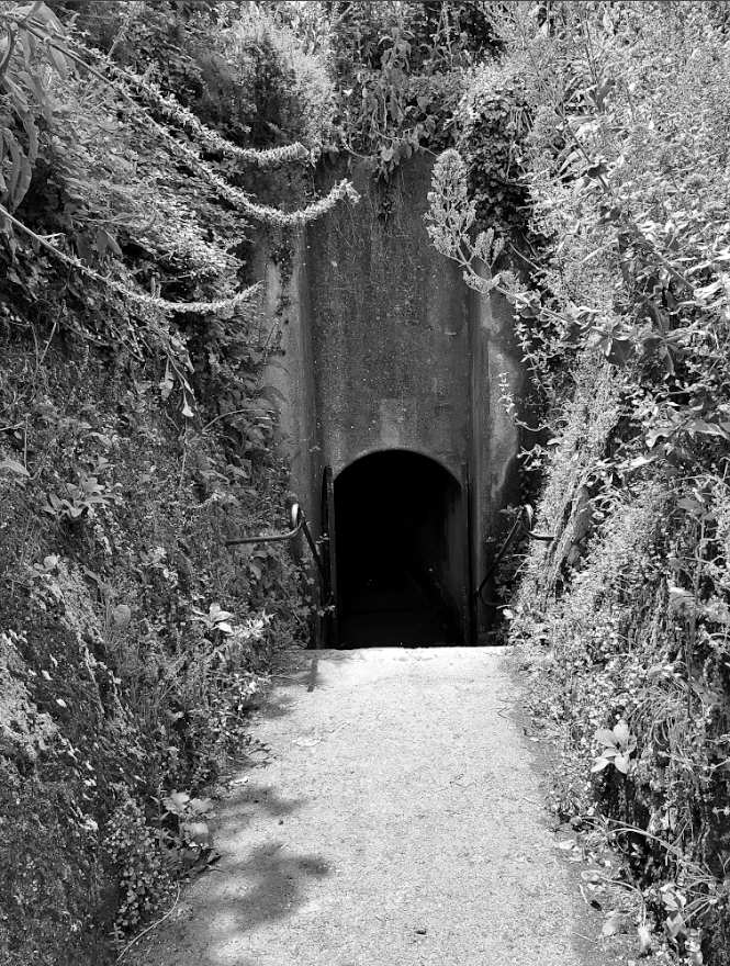 Most of the findable entrances to the network of tunnels under Fort Bilston only go on for a 100-yards before you hit a blast door. Of course this doesn't stop them being haunted by rumours of the wartime Satan Sheds. Tales of floating iron squids, living smoke. – #MattAdams