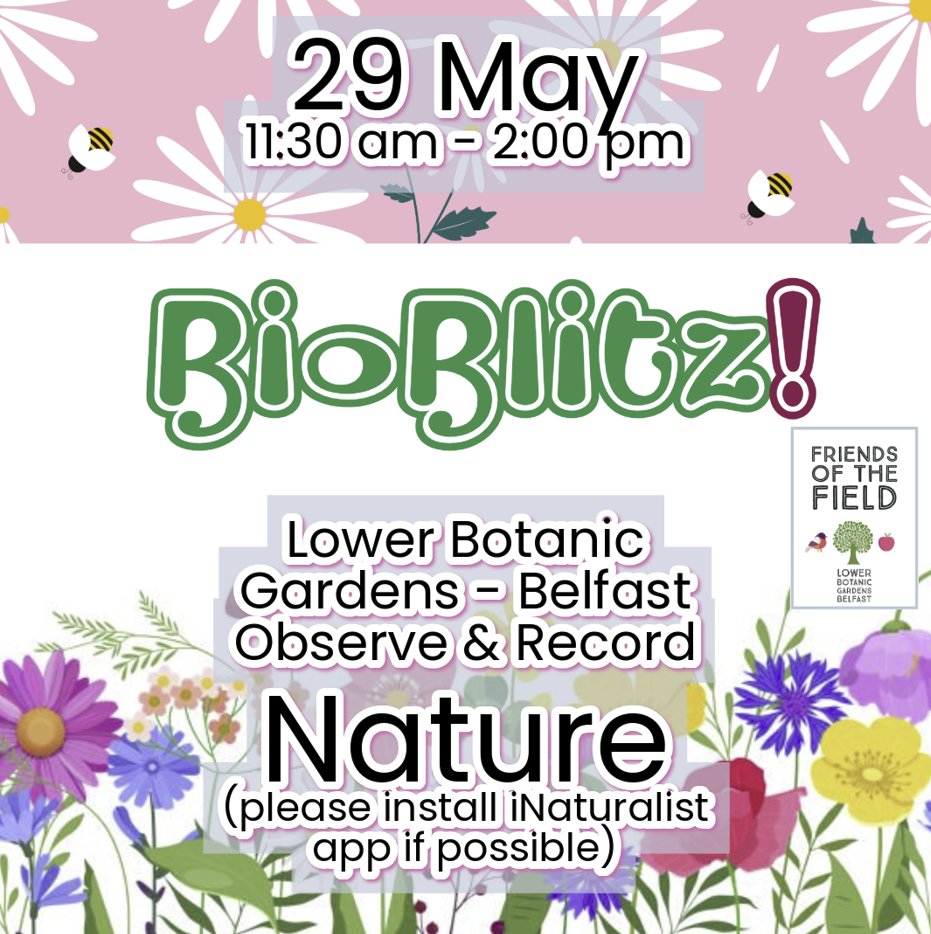 It's Spring(ish) and the field is looking fine.
Join QUB students and staff, as part of their Green Month, and @BuglifeNI to observe and record the fauna and flora of Botanic Meadow. Sign up below (free)
events.humanitix.com/bioblitz-with-…
maps.app.goo.gl/prtNt8gkJAyn1v…
