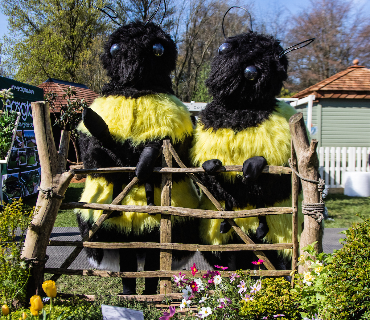 Festival Oldham 2024 🐝🐝 Saturday 1st June Bumble Bees – Circii These adorable Bumble Bees are irresistibly cuddly and have left their sting at home! They'll be following the summer scents to Gallery Oldham to see their smaller cousins the Gallery Oldham honey bees.