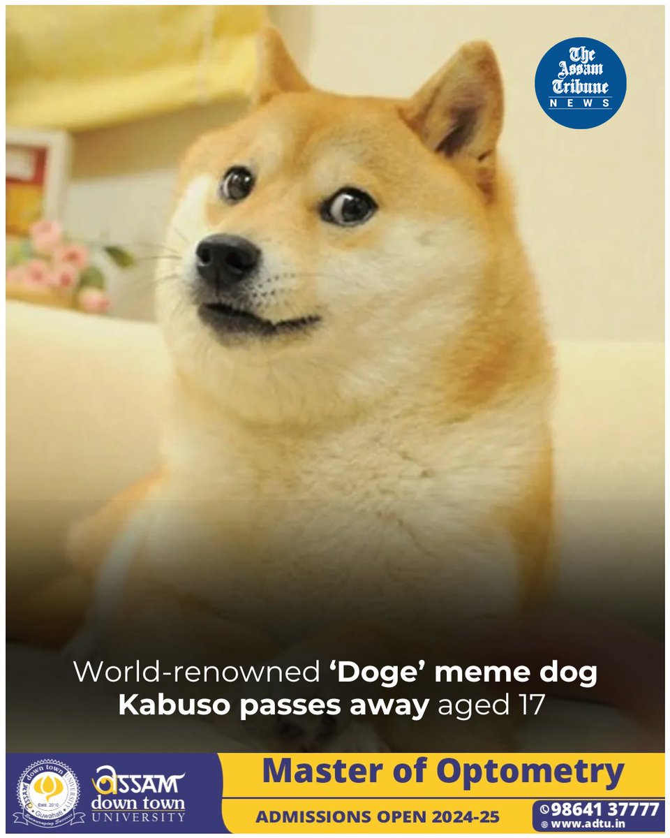 Quick Update: #Kabuso, the beloved Shiba Inu behind #Dogecoin and several other meme tokens, passed away on Friday at the age of 17. Her owner shared the news in a blog post. Kabuso became an internet sensation as the face of the Doge meme. #TheAssamTribune #Meme #Doge