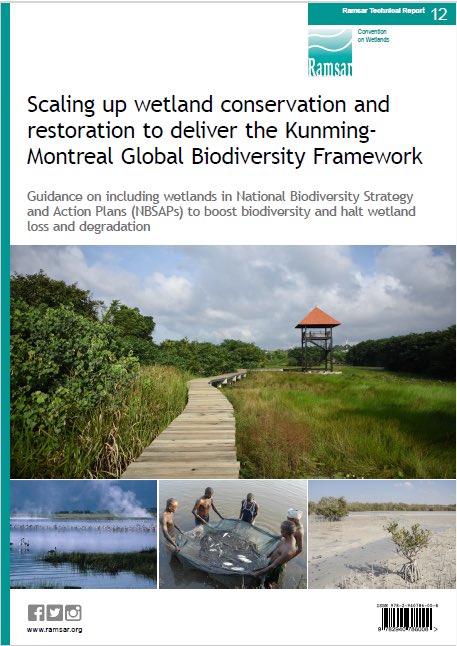 Are you developing a National Biodiversity Strategy and Action Plan (NBSAP)? Are you trying to reverse the loss and degradation of #wetlands? This new guide from @RamsarConv will help, with info on actions, indicators, monitoring etc... @35percent_ltd #PartOfThePlan