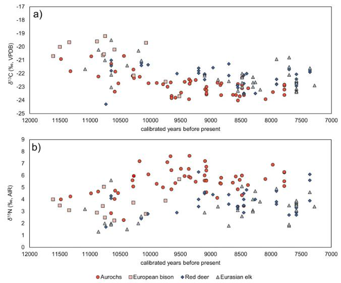 We've just published an article from my #PhD project, this time highlighting the #foragingecology and species interactions over time of Early #Holocene Scandinavian #aurochs, European #bison, red deer, and Eurasian elk. 
doi.org/10.1016/j.pala…