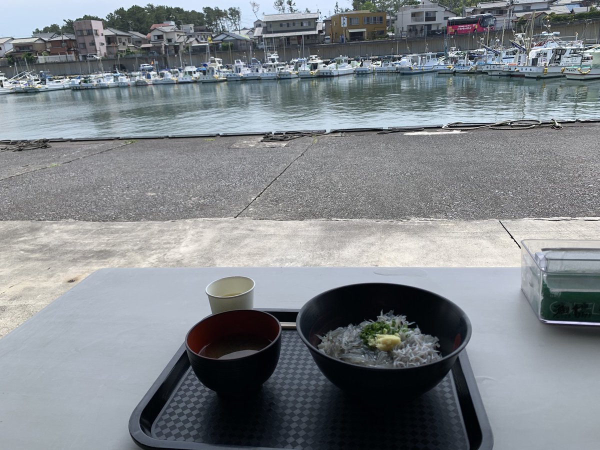 C41wmc's tweet photo. キャンプの帰りに田子の浦港漁協食堂で生しらす食べたい♡という事で寄り道〜🚗³₃
残念ながら食べたかったメニューは売り切れてたけど、生しらすは食べられました✨️
港を目の前に見ながらお食事
美味しかった😋

SWENも発見して寄り道〜 https://t.co/OJJmWuxkBO